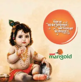 Preview of Kesari Marigold